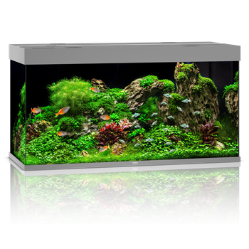 Akwarium Juwel Rio 350 LED szare