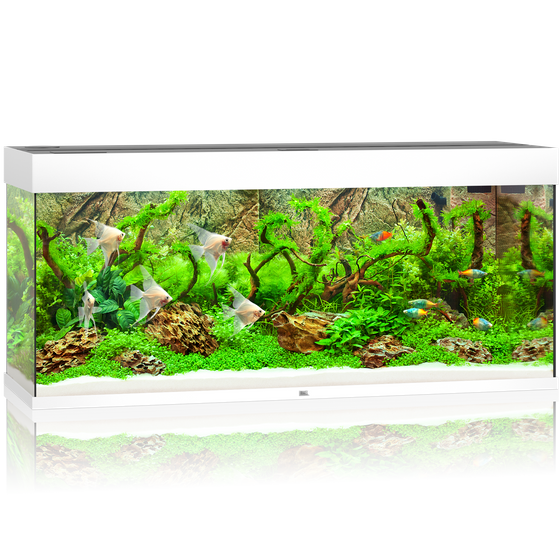 Juwel Rio 240 LED białe (2x belka) akwarium z szafką