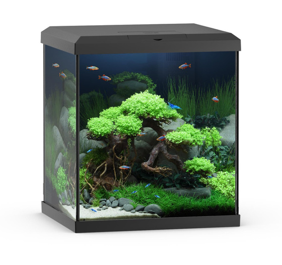 Juwel Vio Cube 54 czarne akwarium z szafką