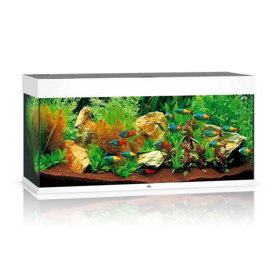 Juwel Rio 180 białe HeliaLux Spectrum (2x belka) akwarium z szafką