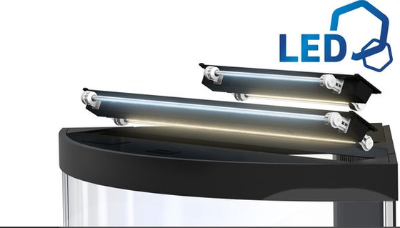 Akwarium Juwel Trigon 350 LED jasne drewno (dąb)