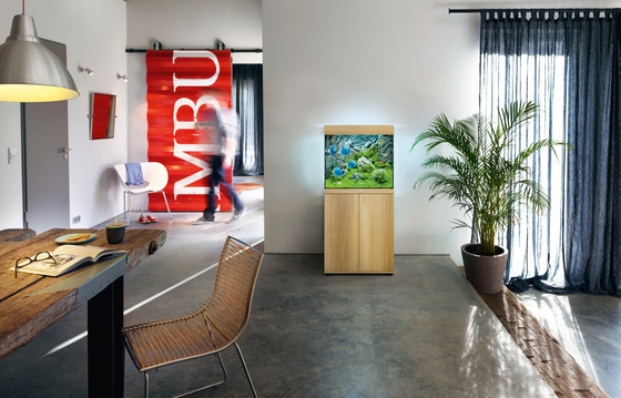 Akwarium Juwel Lido 120 jasne drewno (dąb) HeliaLux Spectrum