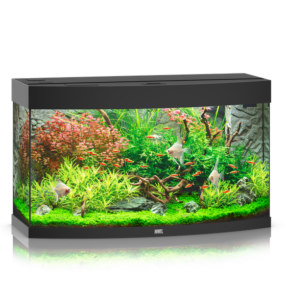 Juwel Vision 180 czarne HeliaLux Spectrum akwarium z szafką