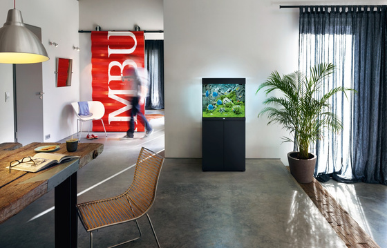 Juwel Lido 120 czarne HeliaLux Spectrum akwarium z szafką