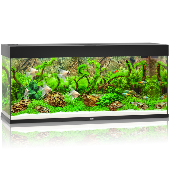 Juwel Rio 240 LED czarne (2x belka) akwarium z szafką