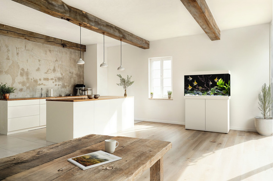 Akwarium Juwel Rio 290 LED białe