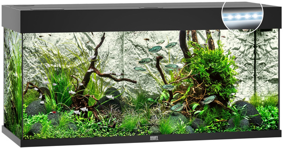 Akwarium Juwel Rio 180 LED czarne