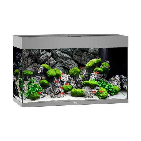 Juwel Rio 125 LED szare akwarium z szafką