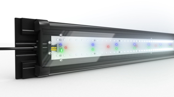 Akwarium Juwel Rio 350 jasne drewno (dąb) HeliaLux Spectrum