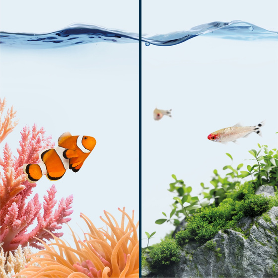 Juwel Termometr cyfrowy 4.0