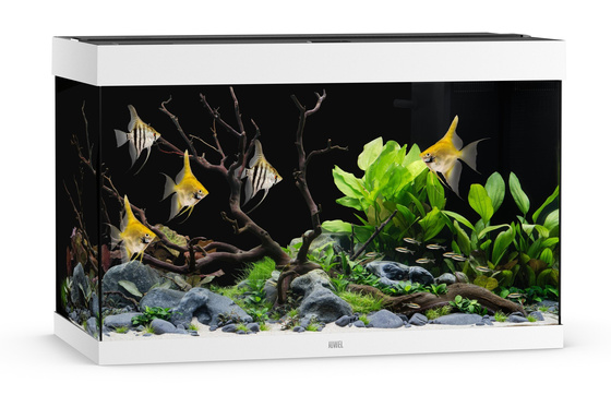 Juwel Rio 290 LED białe akwarium z szafką