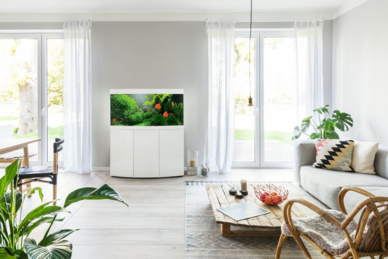 Akwarium Juwel Vision 260 LED białe