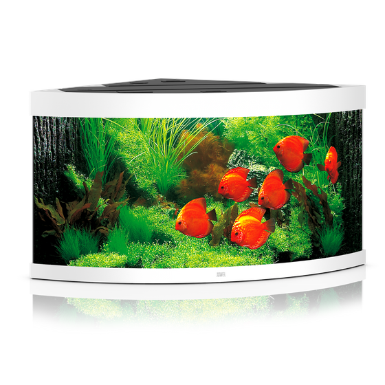 Juwel Trigon 350 biały HeliaLux Spectrum akwarium z szafką