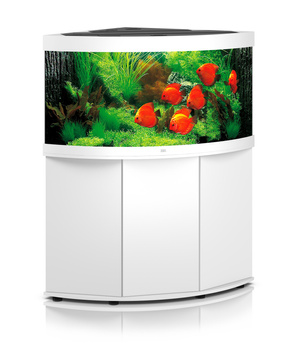 Juwel Trigon 350 LED białe akwarium z szafką