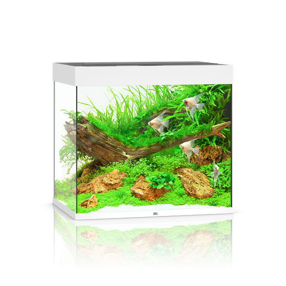 Juwel Lido 200 LED białe akwarium z szafką