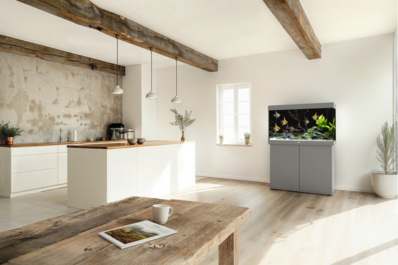 Akwarium Juwel Rio 290 LED szare