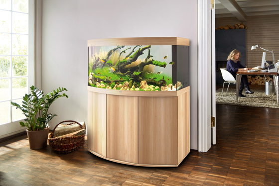 Juwel Vision 260 jasne drewno (dąb) HeliaLux Spectrum akwarium z szafką