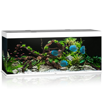 Akwarium Juwel Rio 450 LED białe
