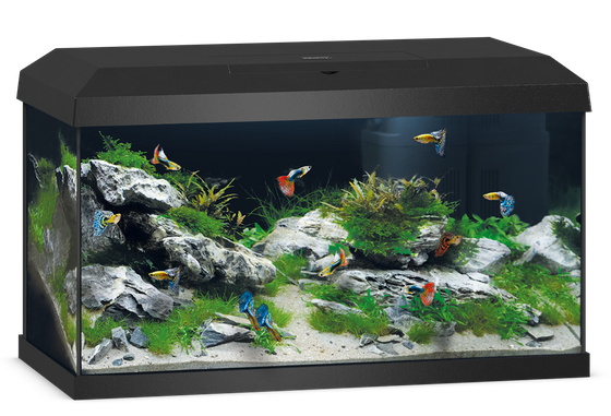 Akwarium Juwel Primo 60 LED 2.0 czarne