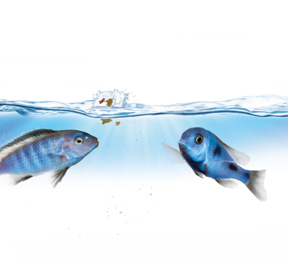 Juwel SmartFeed 2.0 - Karmnik Automatyczny do akwarium