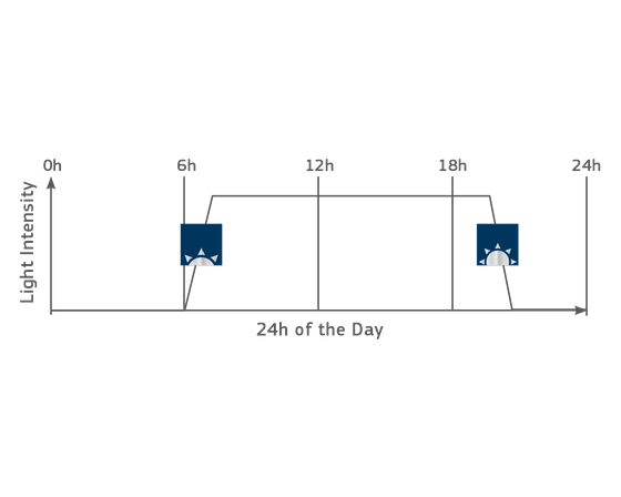NovoLux LED Day Control - kontroler światła