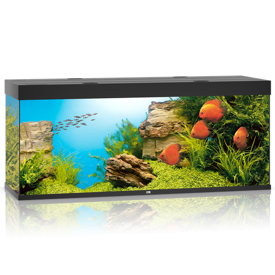 Juwel Rio 450 LED czarne (2x belka) akwarium z szafką