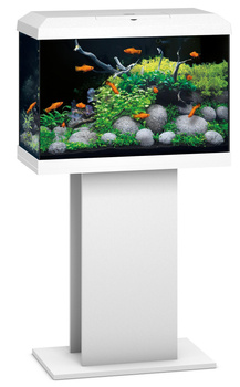 Juwel Primo 70 LED 2.0 białe akwarium z podstawą