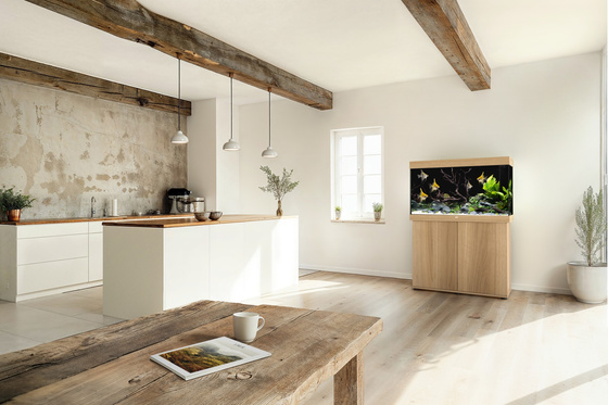 Akwarium Juwel Rio 290 jasne drewno (dąb) HeliaLux Spectrum