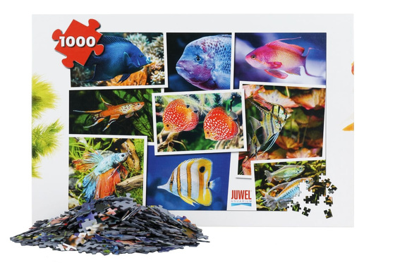 Puzzle Juwel 1000 elementów V1