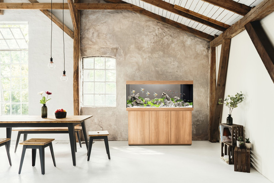 Akwarium Juwel Rio 450 LED jasne drewno (dąb)