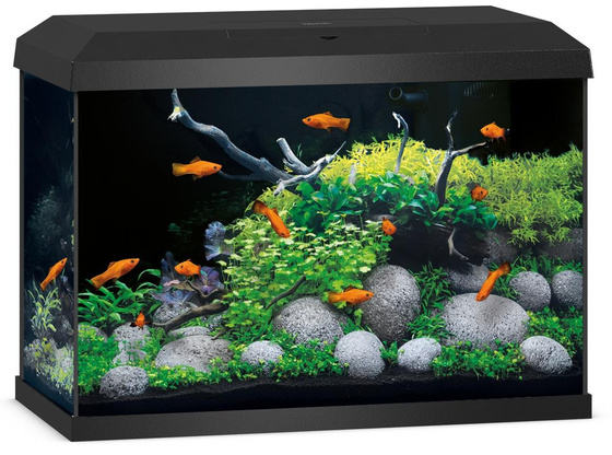 Juwel Primo 70 LED 2.0 czarne z podstawą