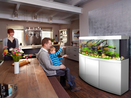 Juwel Vision 450 LED białe (2x belka) akwarium z szafką