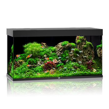 Akwarium Juwel Rio 350 LED czarne