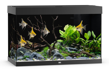 Akwarium Juwel Rio 290 LED czarne (2x belka)