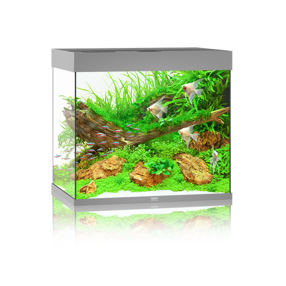 Akwarium Juwel Lido 200 LED szare