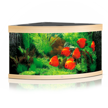 Akwarium Juwel Trigon 350 LED jasne drewno (dąb)