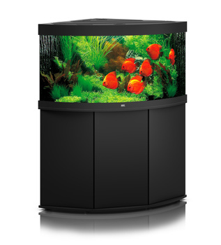 Juwel Trigon 350 LED czarne akwarium z szafką