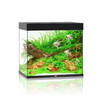 Akwarium Juwel Lido 200 czarne HeliaLux Spectrum (2x belka)